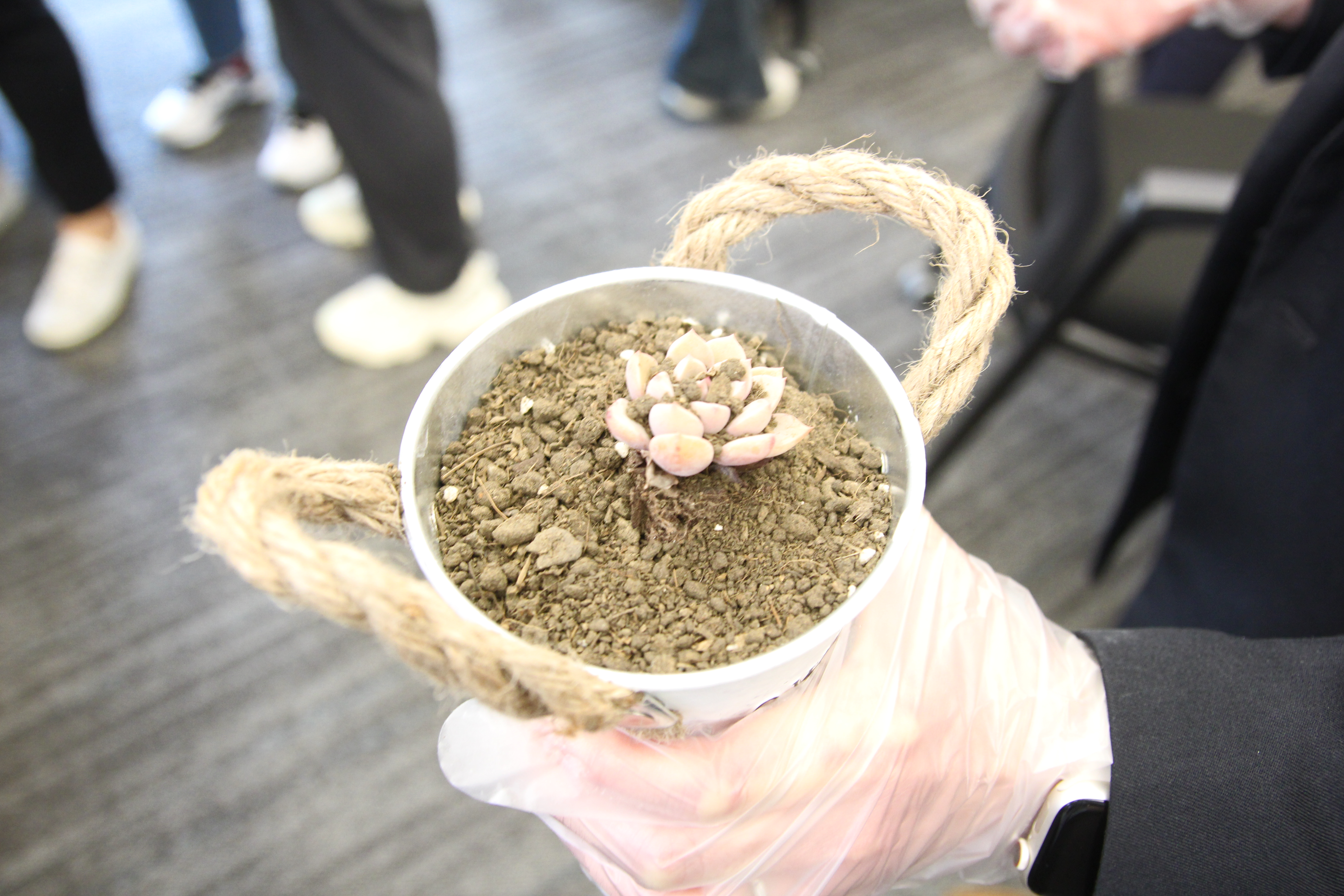 圖片10.png 圖片10.png